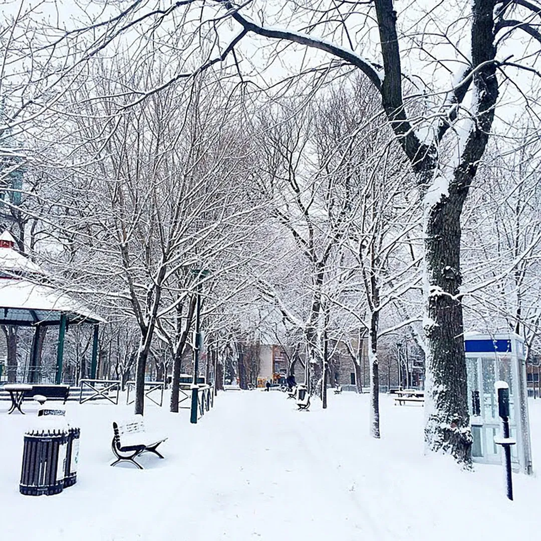 A snow-covered park path lined with bare trees, a gazebo and benches buried in fresh white snow