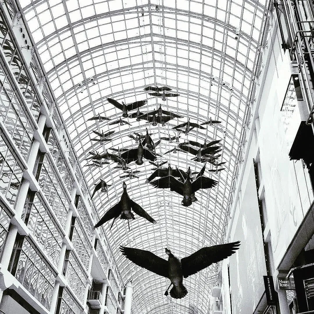 Black and white view looking up at dozens of bird sculptures suspended mid-flight beneath a vast glass atrium ceiling