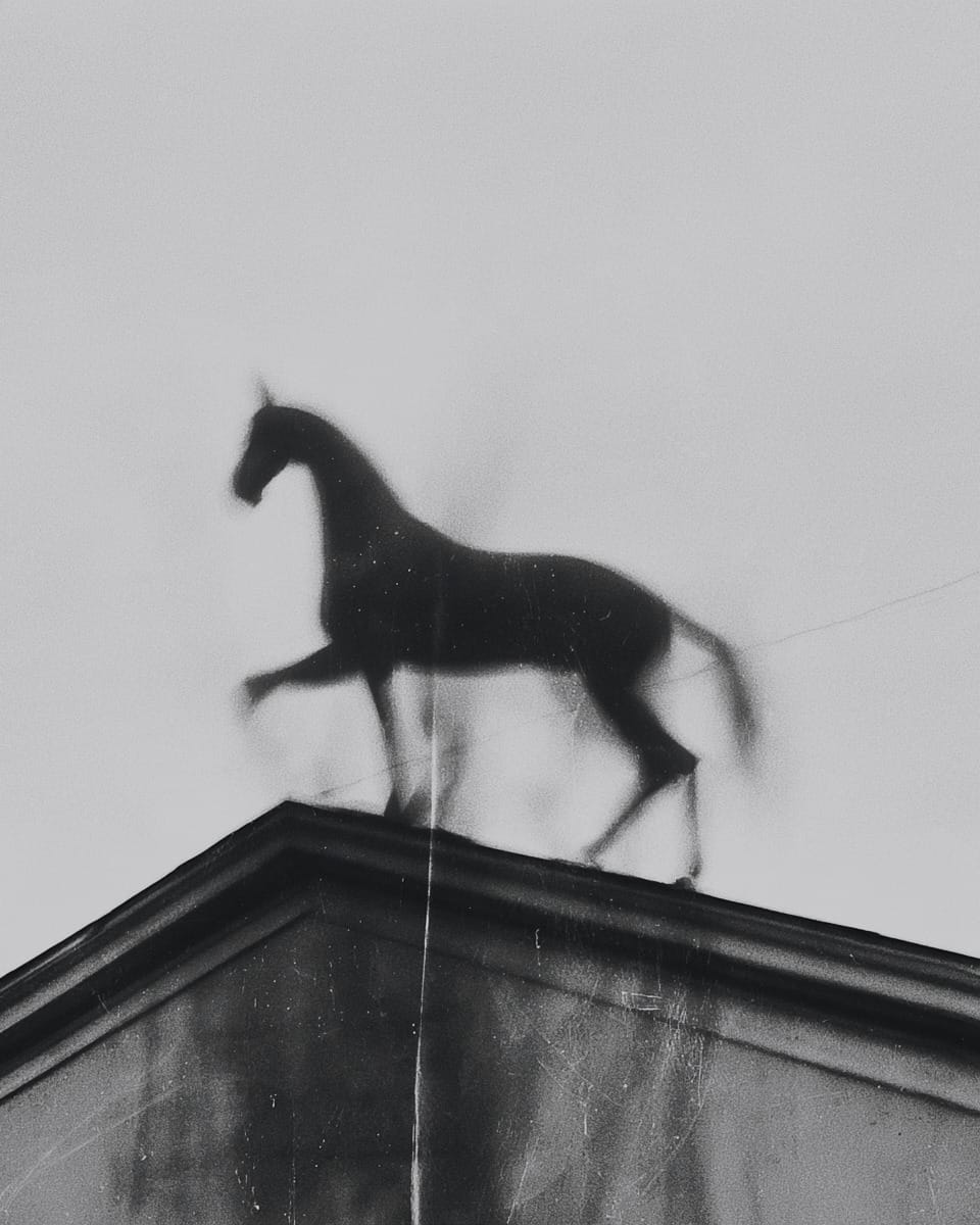 Grainy black-and-white image