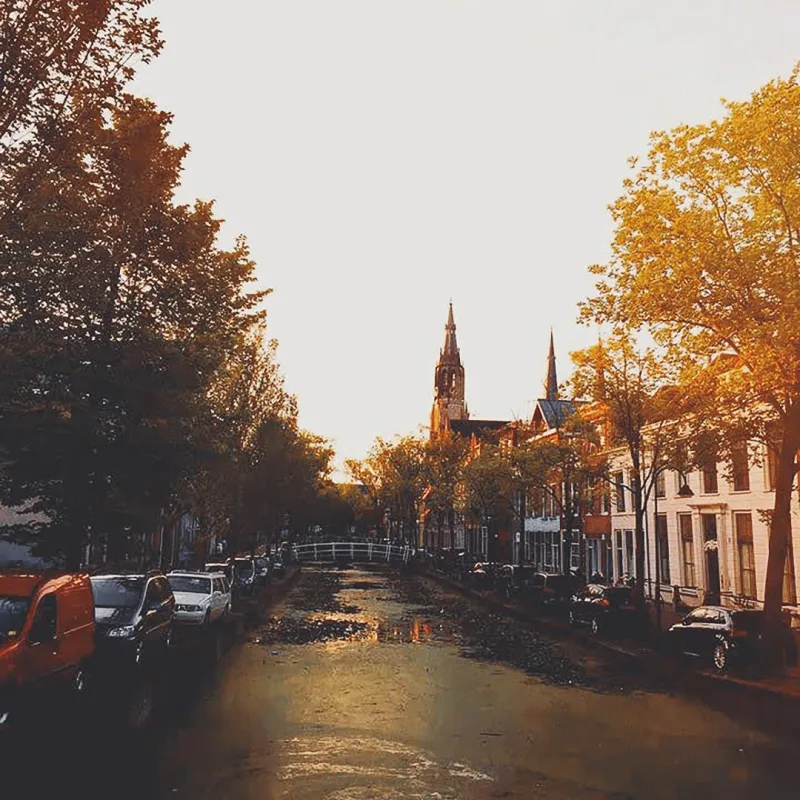 A tree-lined canal street bathed in golden hour light with a church steeple rising in the distance