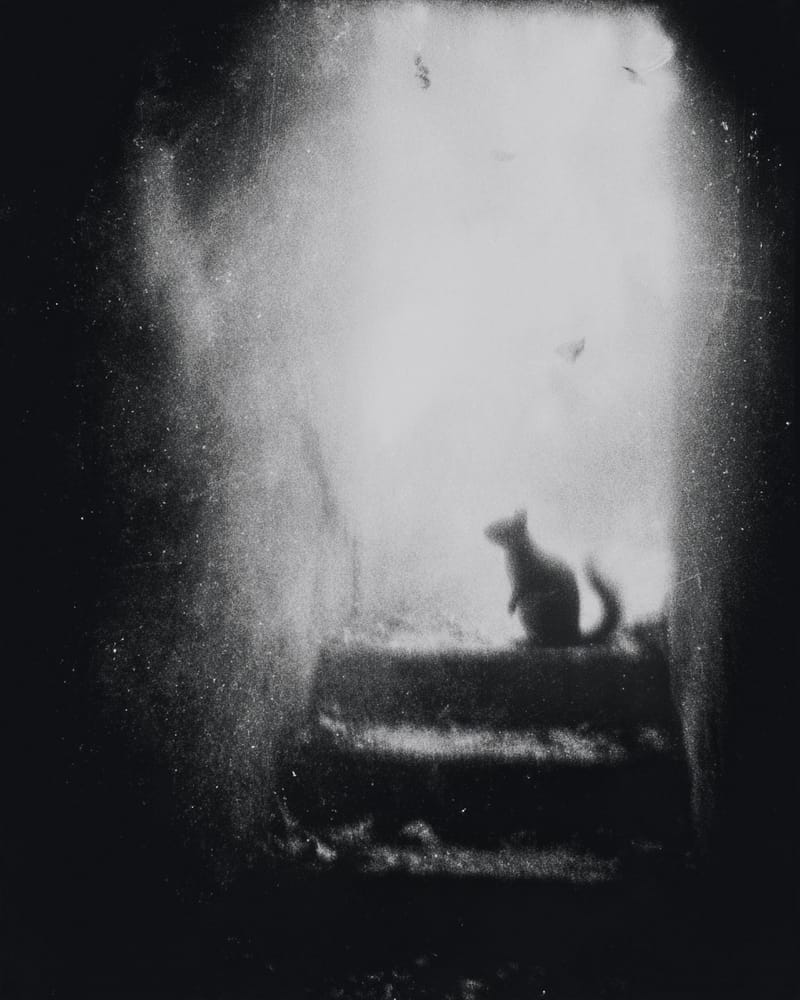 Grainy black-and-white image