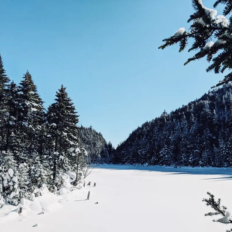 A frozen lake surrounded by snow-laden pine trees and forested hills under a crisp clear blue winter sky