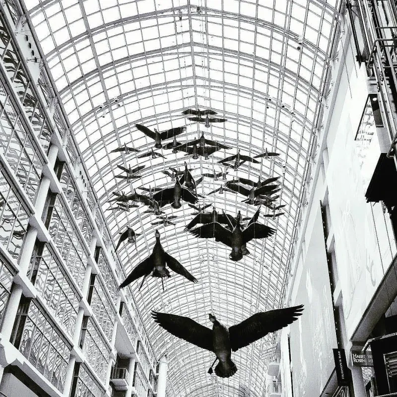 Black and white view looking up at dozens of bird sculptures suspended mid-flight beneath a vast glass atrium ceiling