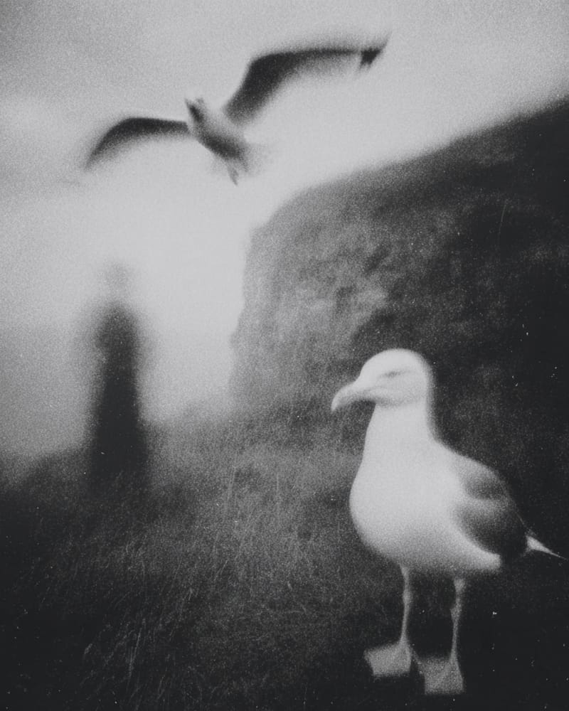 Grainy black-and-white image
