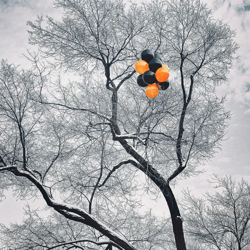 A cluster of orange and black balloons tangled in the bare branches of a frost-covered tree against a grey sky
