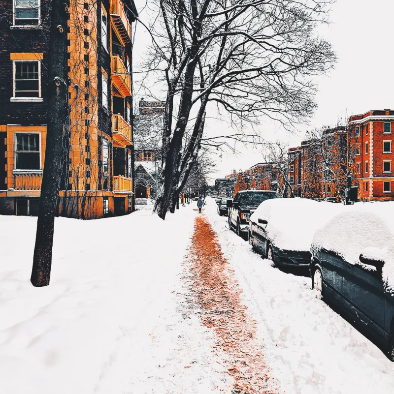 A residential street buried in deep snow, cars lined up along red-brick buildings after a heavy snowfall