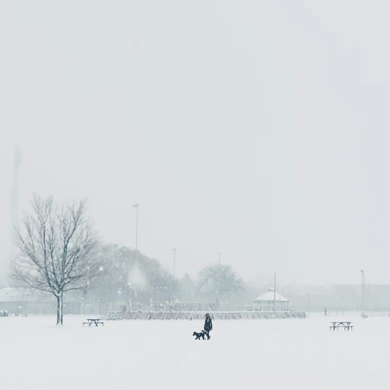 A lone figure walking a dog across a vast snow-covered park during a blizzard, nearly swallowed by white