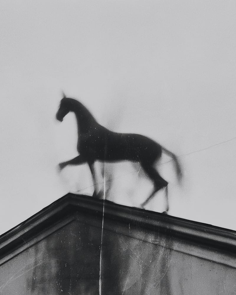 Grainy black-and-white image