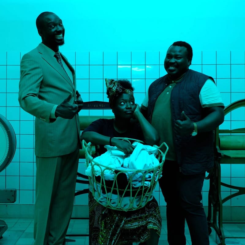Cover of Mum Does the Washing by Joshua Idehen